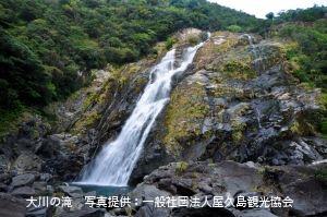 Yakushima Ookonotaki.jpg