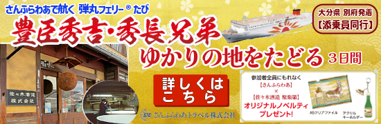 toyotomi.kyounavi.png