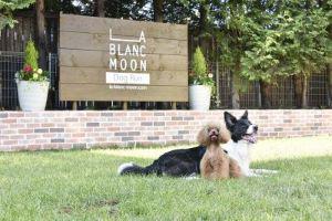 ラブランムーン