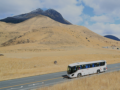 観光バスツアー