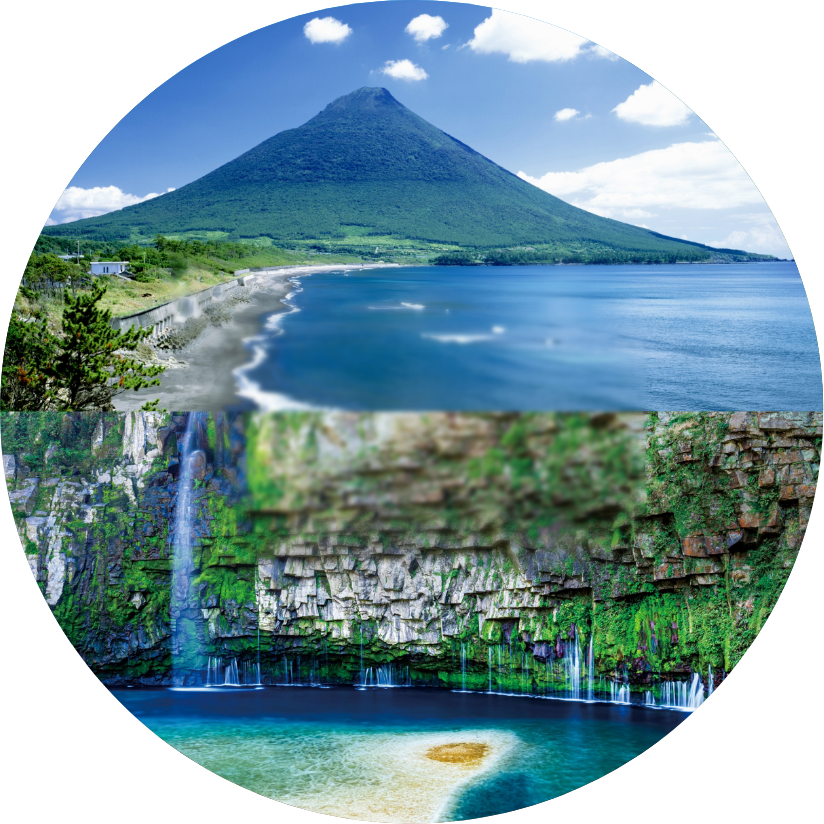 商船三井さんふらわあ