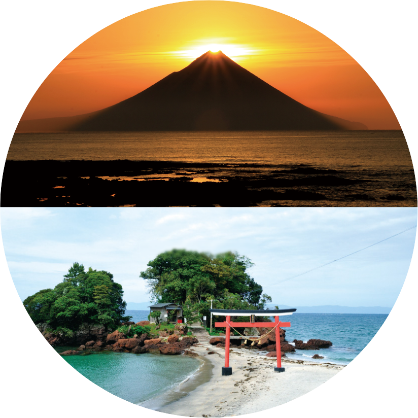 商船三井さんふらわあ