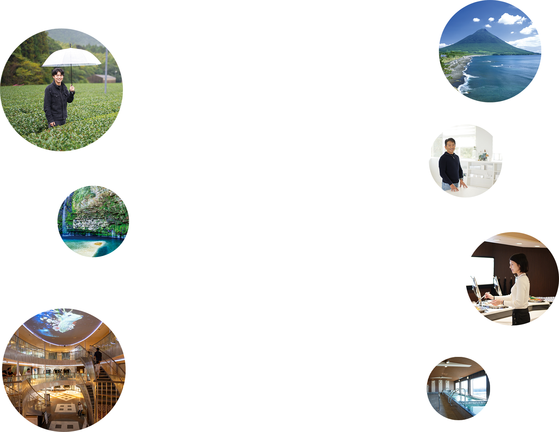 フェリー＋宿泊ならさんふらわあトラベルへ！