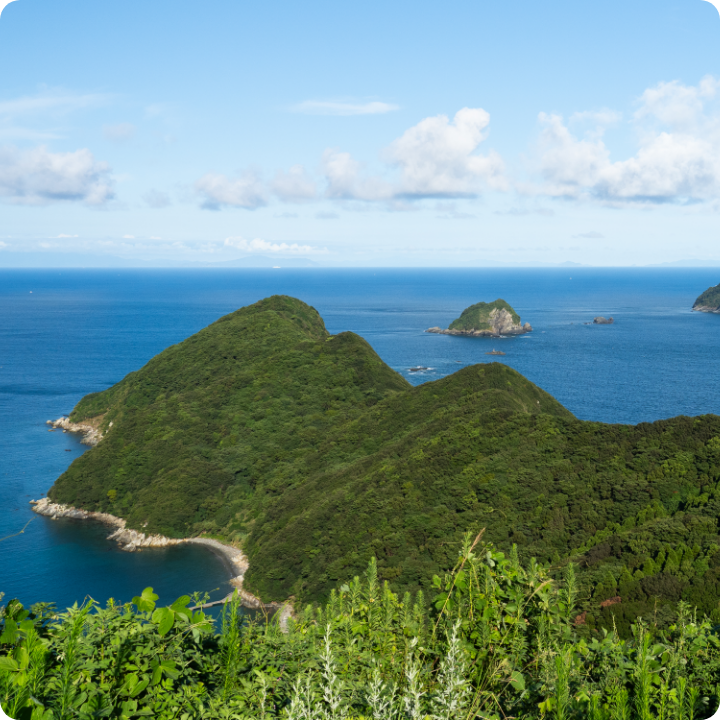大分県南の海岸風景