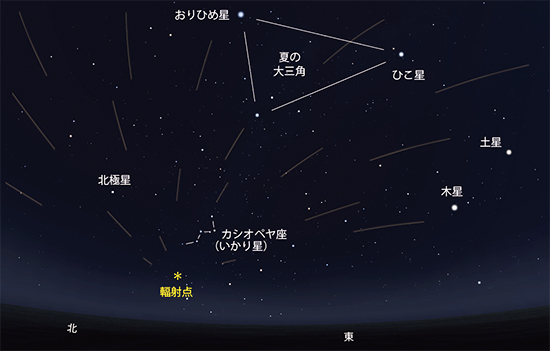 さんふらわあの夜空 星空教室 ペルセウス座流星群 フェリーさんふらわあ