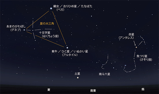 さんふらわあの夜空 星空教室 21年7月 フェリーさんふらわあ さんふらわあの夜空 星空教室 21年7月 フェリーさんふらわあ