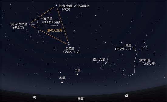 さんふらわあの夜空 星空教室 21年8月 フェリーさんふらわあ さんふらわあの夜空 星空教室 21年8月 フェリーさんふらわあ