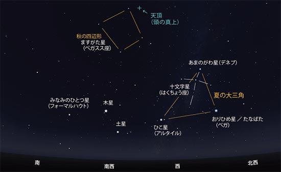 さんふらわあの夜空 星空教室 21年11月 フェリーさんふらわあ さんふらわあの夜空 星空教室 21年11月 フェリーさんふらわあ