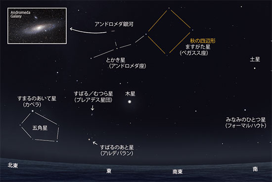 星空教室 2023年11月 | 商船三井さんふらわあ