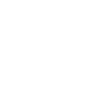 SPOT 10