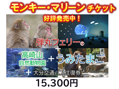 モンキー&マリーンチケット版