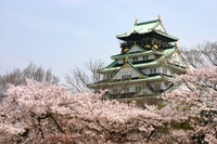 大阪城と桜