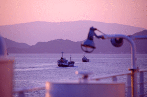 2013昼便2014の画像06