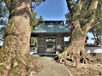 image_1153-min (6).jpg