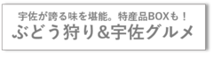 ぶどう狩り・グルメ.png