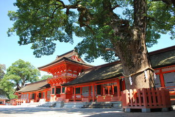 宇佐神宮 (2).JPG