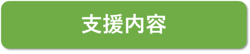 支援内容.png