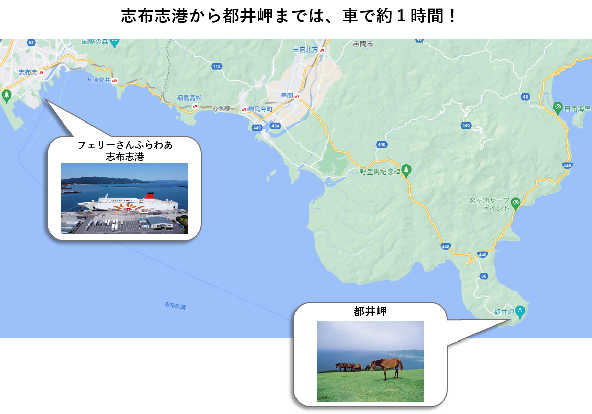 https://www.ferry-sunflower.co.jp/news/article/images/306260629e2a77ee7d9c51158c2aa0196287b9b5.png