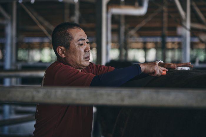 マル善 石原牛 写真③軽.jpg
