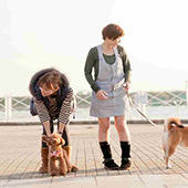 愛犬と阿蘇や由布院、ハウステンボスの宿泊施設でも一緒に過ごせる 愛犬とず~っと一緒プラン