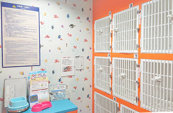 バイク弾丸フェリー フェリーさんふらわあ